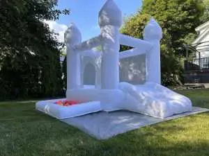 image 50446081 1700085160 big Can 2-Year-Olds Bounce on a Bounce House?