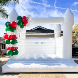 7137CoIACUL. AC SL1500 1710111743 Wedding Castle Bounce House