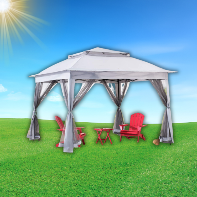 Canopy Tent (10' x 10')