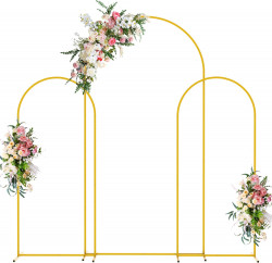 Standing20Arch201 1712172153 Chiara Backdrop (3-Piece Set)